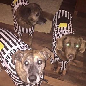 Meet your Posher, Rusty